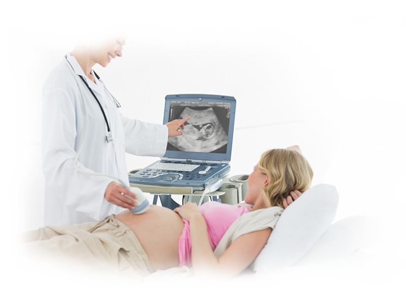 Understanding Pregnancy Nutrition